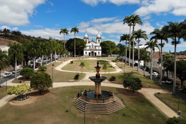 Macaque in the trees