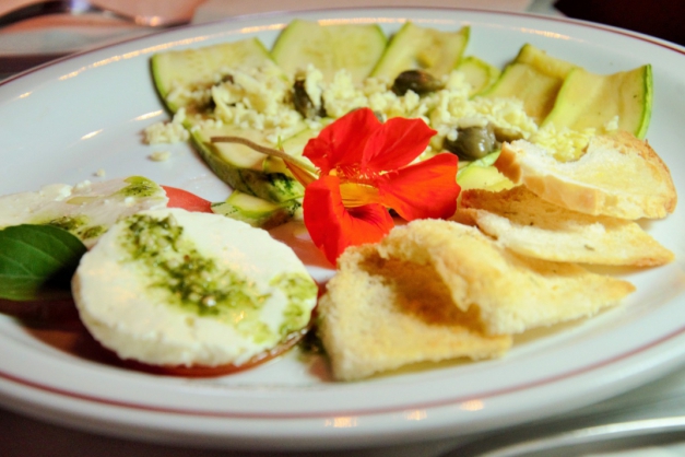 Macaque in the trees