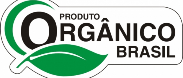 Macaque in the trees