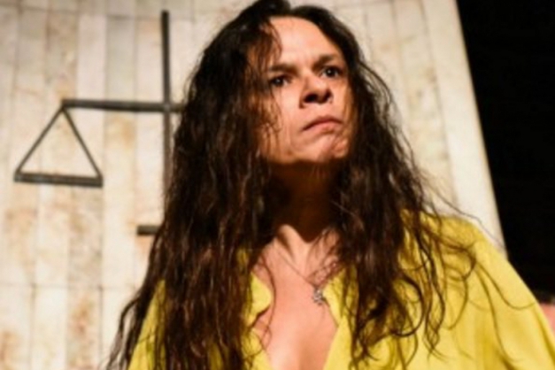 Macaque in the trees