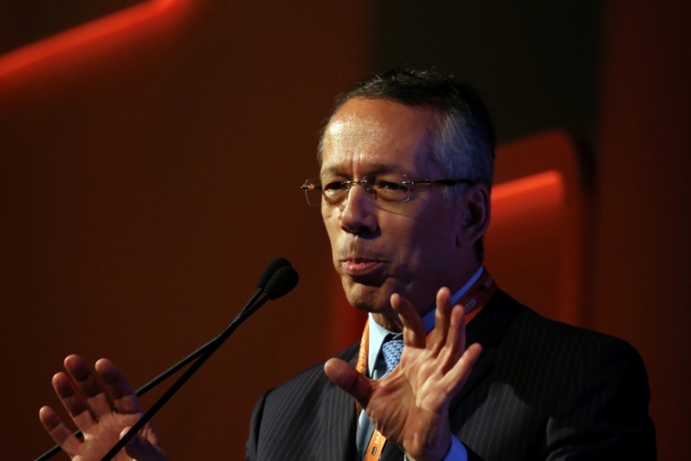 Macaque in the trees