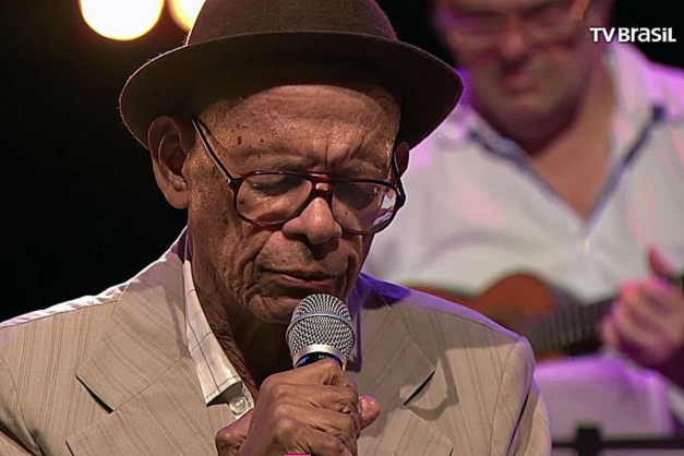 Macaque in the trees