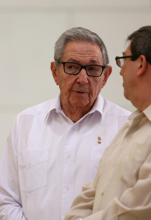 Macaque in the trees