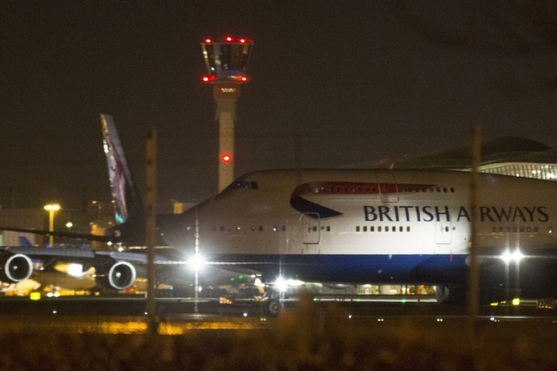 Macaque in the trees