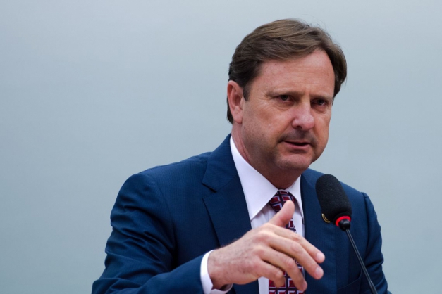 Macaque in the trees