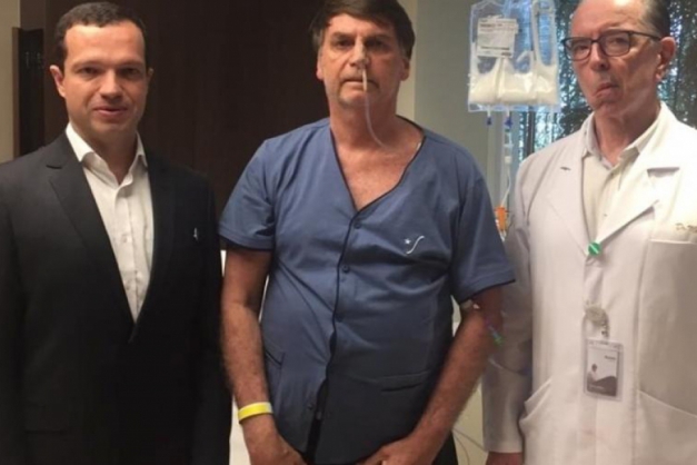 Macaque in the trees