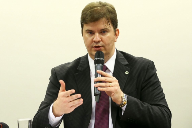 Macaque in the trees