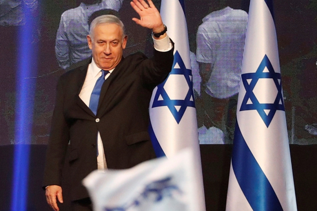 Macaque in the trees