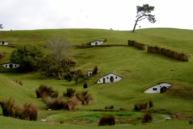 Macaque in the trees