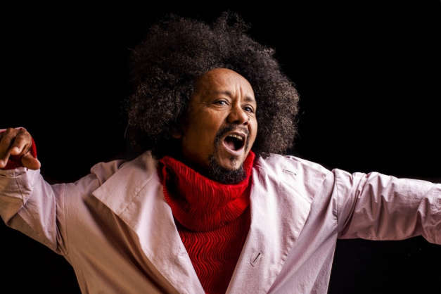 Macaque in the trees