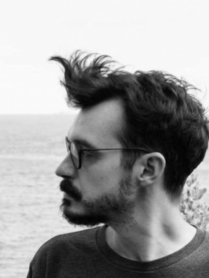 Macaque in the trees