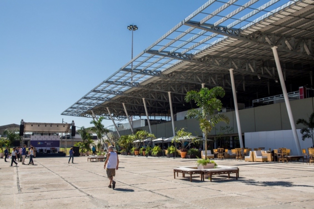Macaque in the trees