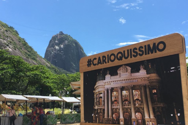 Macaque in the trees