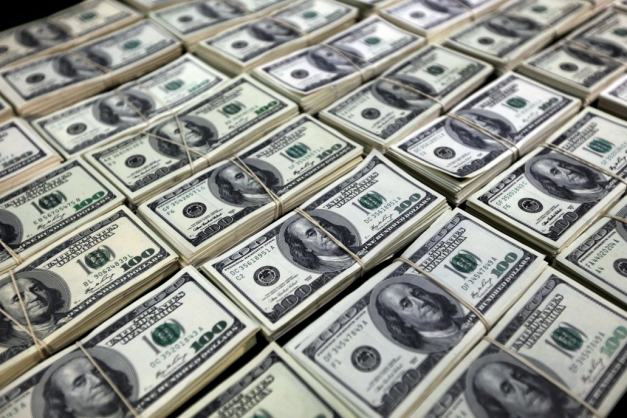 Macaque in the trees