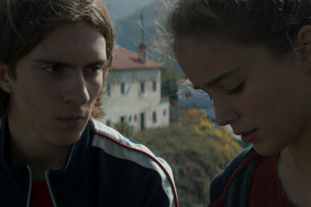 Macaque in the trees