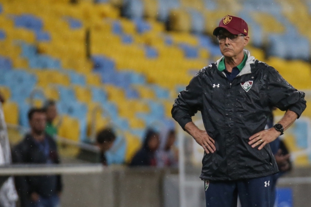 Macaque in the trees