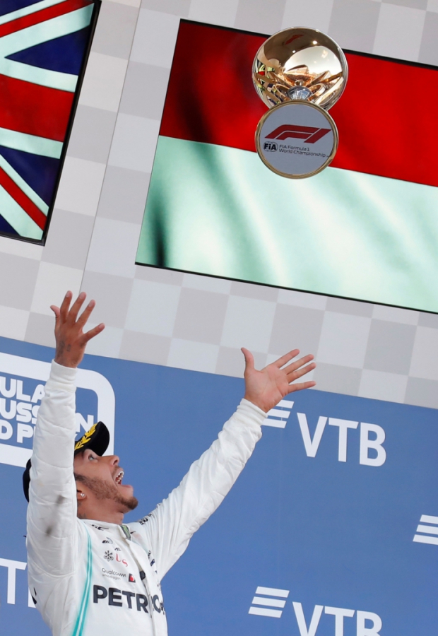 Macaque in the trees