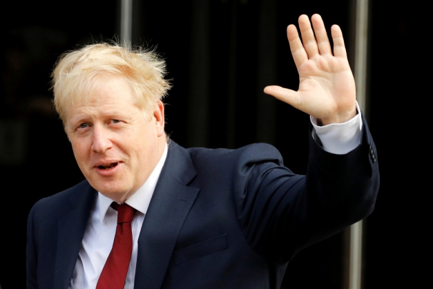 Macaque in the trees