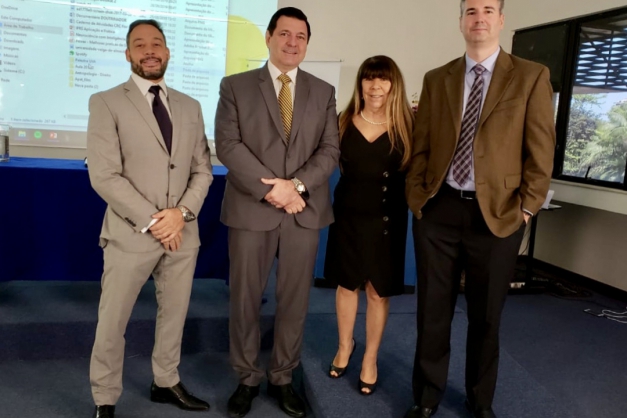 Macaque in the trees