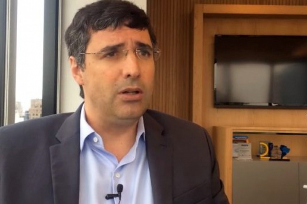 Macaque in the trees