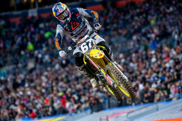 Macaque in the trees