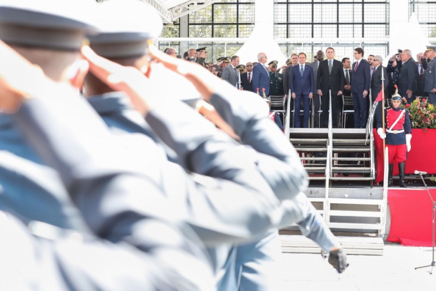 Macaque in the trees