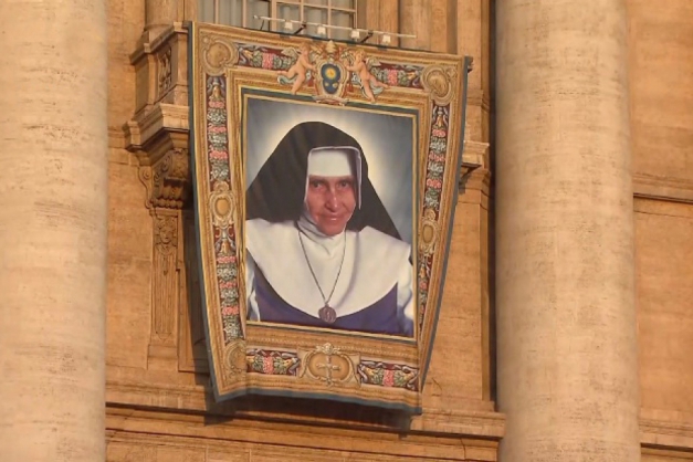 Macaque in the trees