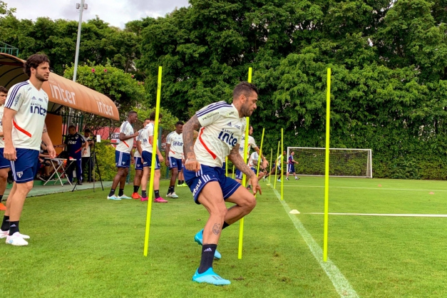 Macaque in the trees
