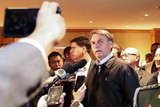 Macaque in the trees