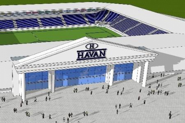 Macaque in the trees