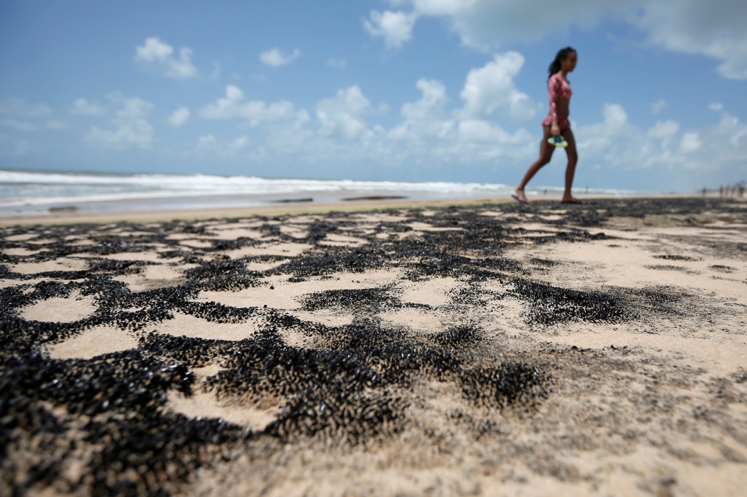 Quatro Mil Toneladas De óleo Já Foram Retiradas Das Praias Nordestinas 0969