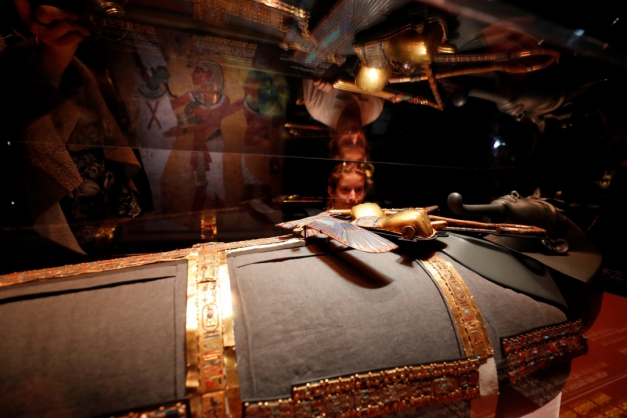 Macaque in the trees