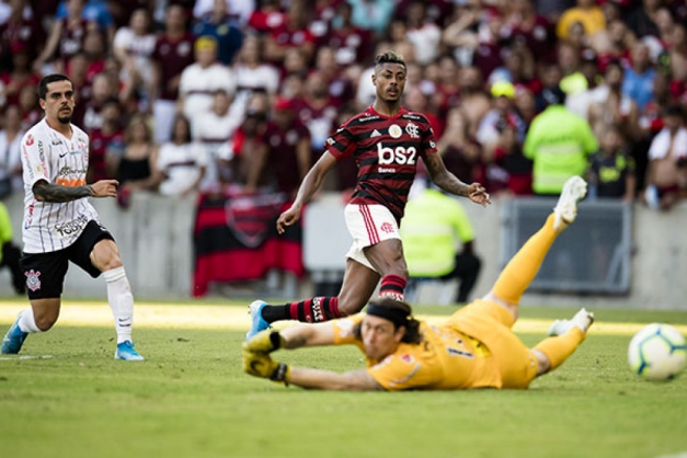 Macaque in the trees