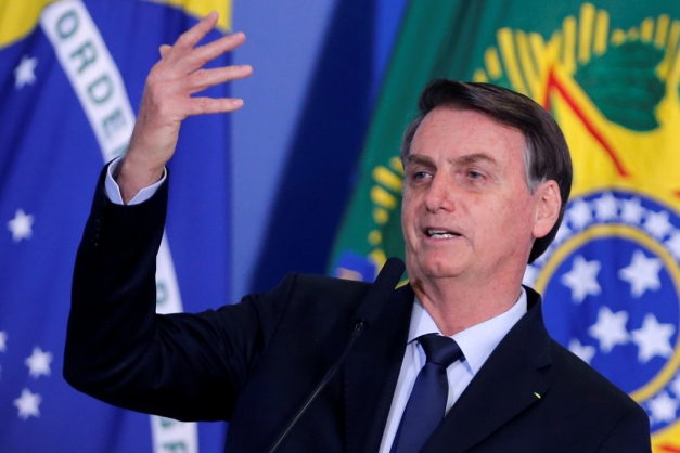 Macaque in the trees