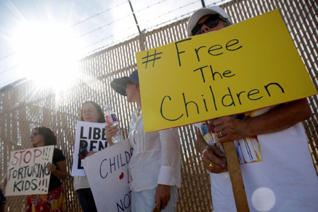 Macaque in the trees