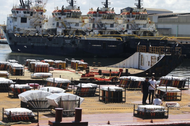 Macaque in the trees