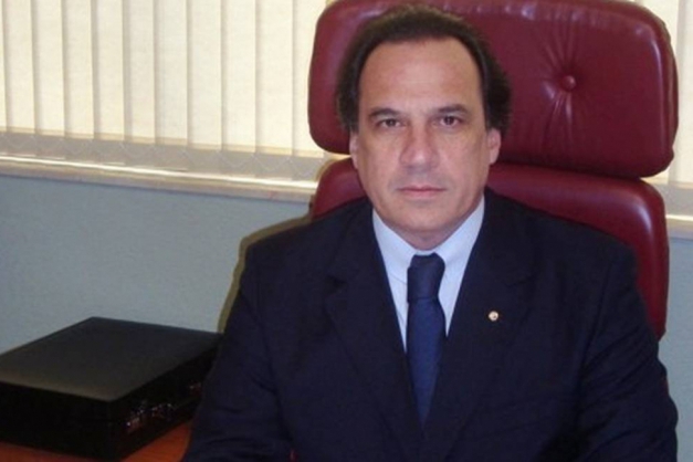 Macaque in the trees