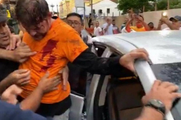 Macaque in the trees