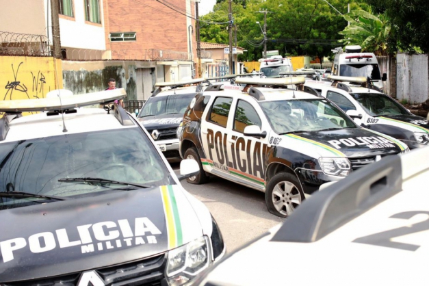 Macaque in the trees