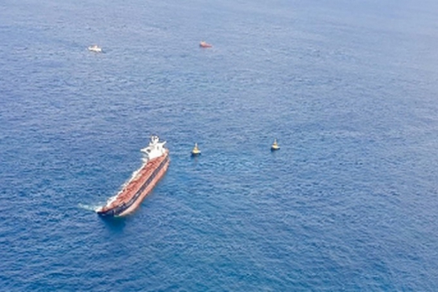 Macaque in the trees