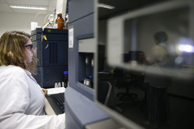 Macaque in the trees