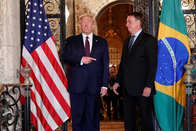 Macaque in the trees