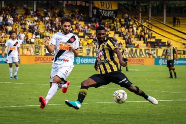 Macaque in the trees