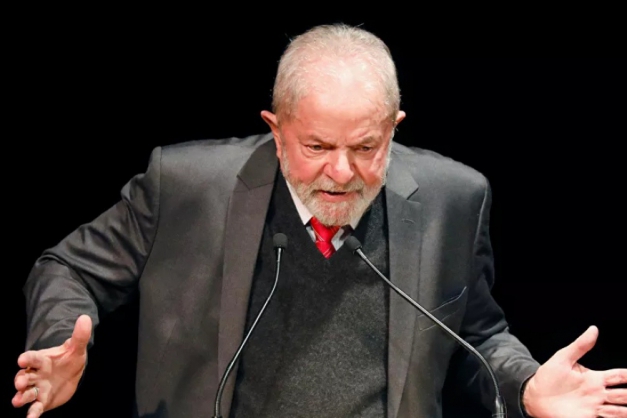 Macaque in the trees