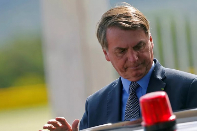 Macaque in the trees