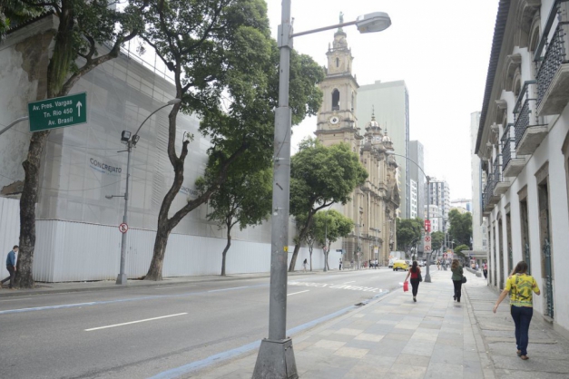 Macaque in the trees