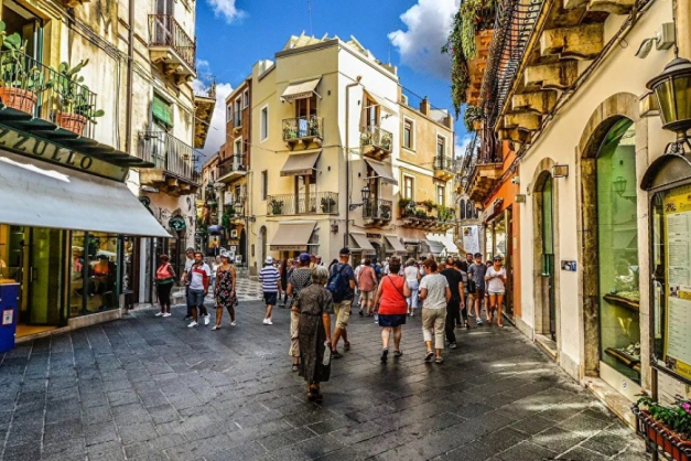 Macaque in the trees