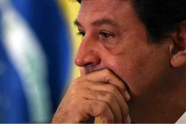 Macaque in the trees