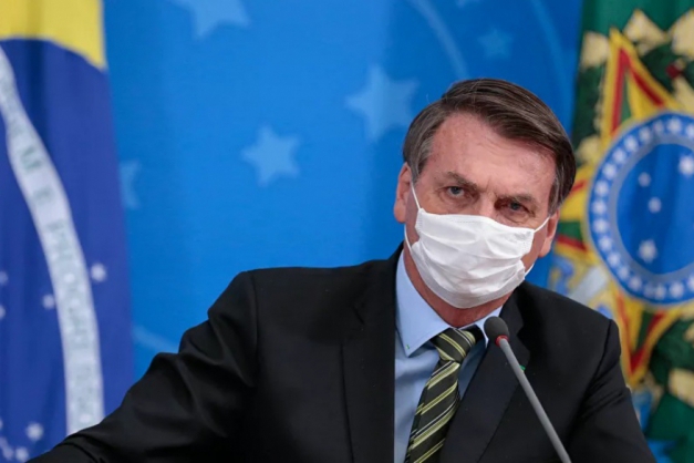 Macaque in the trees