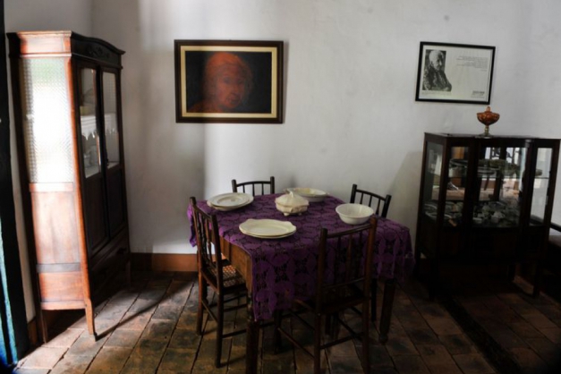 Macaque in the trees